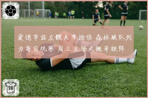 爱德华兹左髋关节挫伤 森林狼队列为每日观察 周三主场大概率缺阵